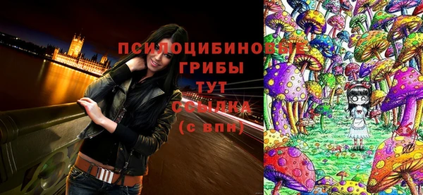 эйфоретик Абаза